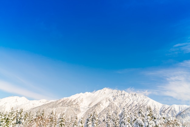 Japón montaña de invierno con nieve cubierto