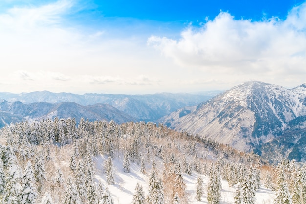 Japón montaña de invierno con nieve cubierto