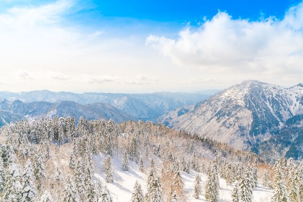 Japón montaña de invierno con nieve cubierto