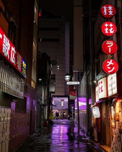 Japón noche signos paisaje urbano