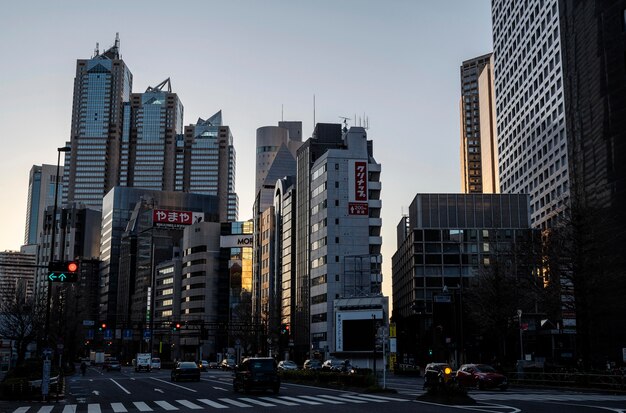 Japón paisaje urbano