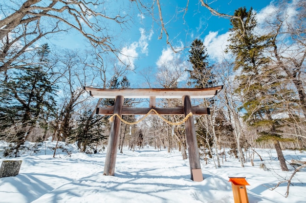 Japón Torii puerta entrada santuario en escena de nieve, Japón