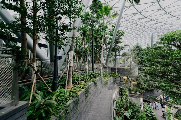 jardín botánico con plantas