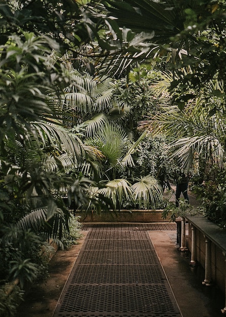 Jardín botánico temperamental invernadero naturaleza