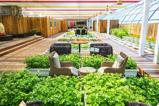 Un jardín de estilo de vida cubierto con vida interior y exterior