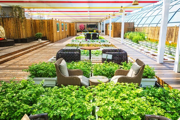 Un jardín de estilo de vida cubierto con vida interior y exterior