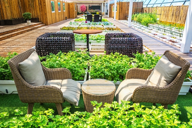 Un jardín de estilo de vida cubierto con vida interior y exterior