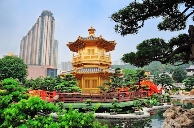 Foto gratuita jardín de hong kong