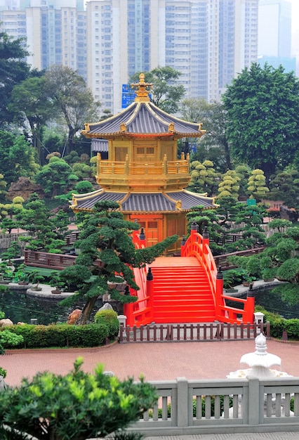 Foto gratuita jardín de hong kong