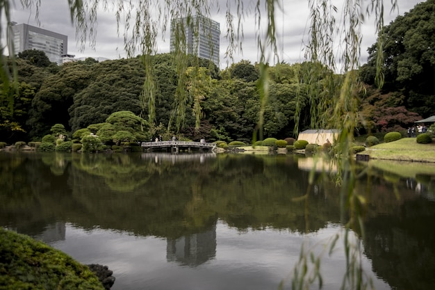 Jardín Nacional Shinjuku Gyoen