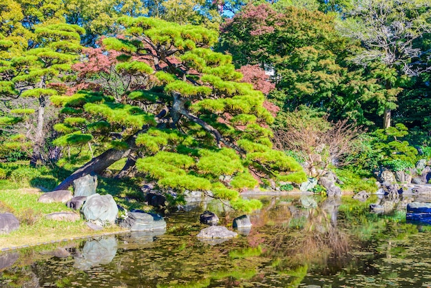 Foto gratuita jardín en el parque del palacio imperial.