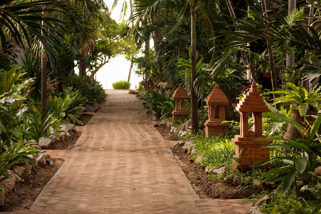 Jardín tropical y el camino a la playa del mar.