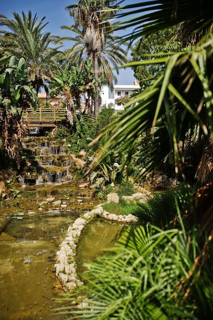 Jardín tropical con un pequeño estanque artificial y palmeras alrededor