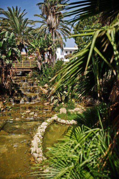 Jardín tropical con un pequeño estanque artificial y palmeras alrededor