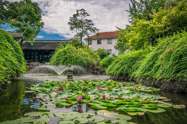 Foto gratuita jardín viejo de china