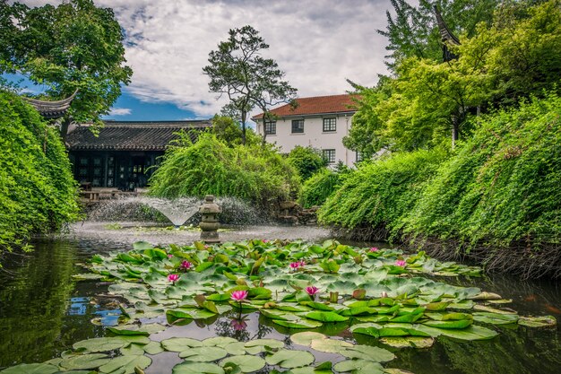 jardín viejo de china