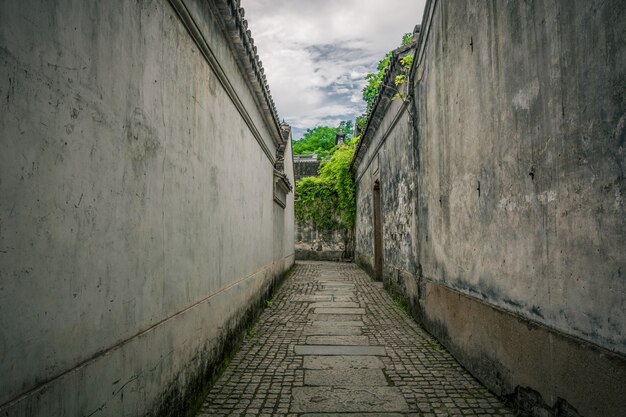 jardín viejo de china