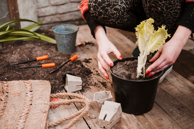 Foto gratuita jardinera