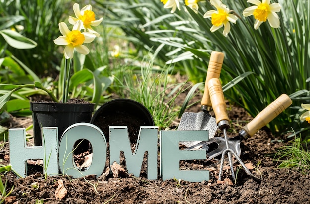 Foto gratuita jardinería, flores de primavera narcisos amarillos con suministros de jardín. día de la tierra. letras de madera con la inscripción a casa.