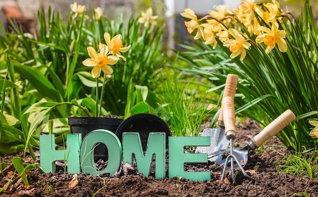 Jardinería, hermosas flores de primavera con suministros de jardín.