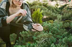 Foto gratuita jardinería