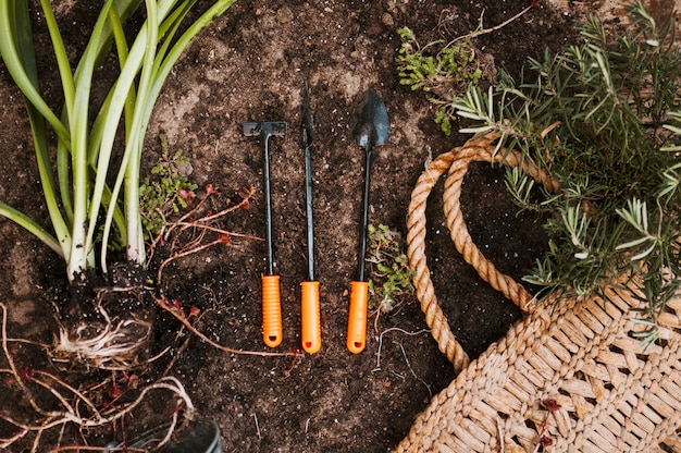 Foto gratuita jardinería