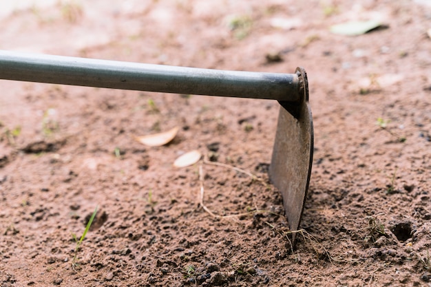 Foto gratuita jardinería