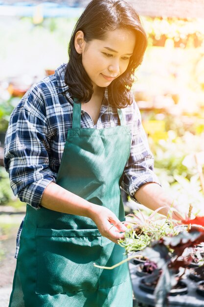 Jardinería