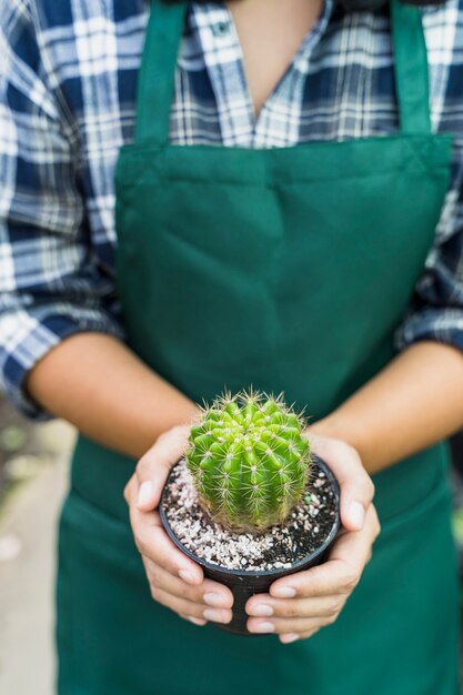 Jardinería