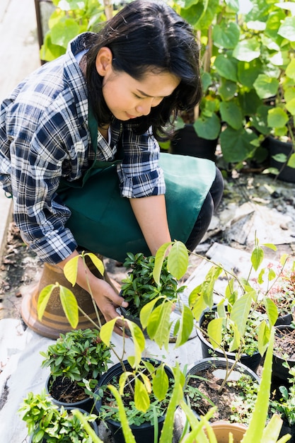 Foto gratuita jardinería