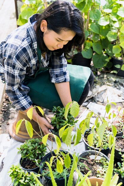 Jardinería