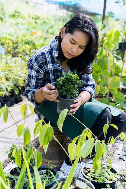 Foto gratuita jardinería