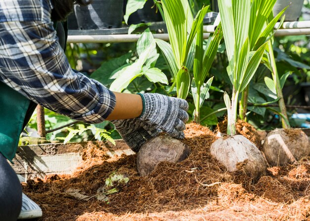 Jardinería