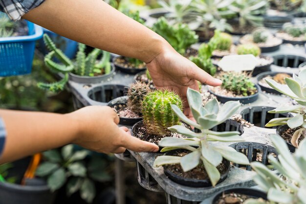 Jardinería