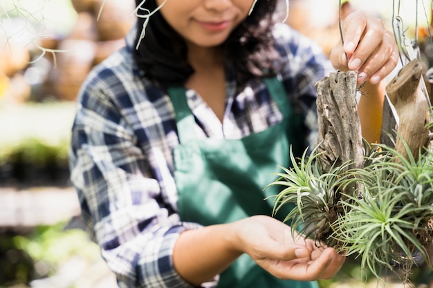 Jardinería