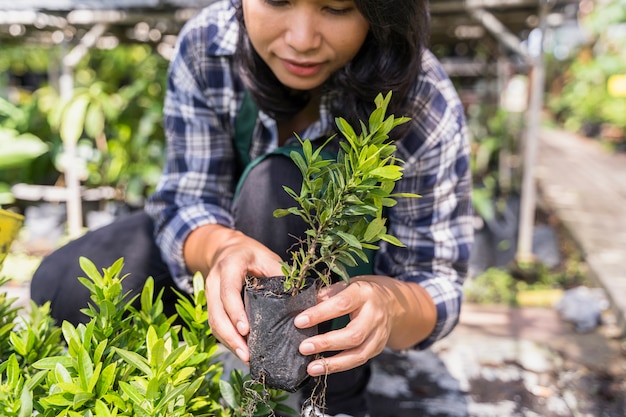 Foto gratuita jardinería