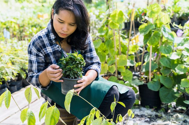 Jardinería