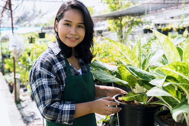 Jardinería