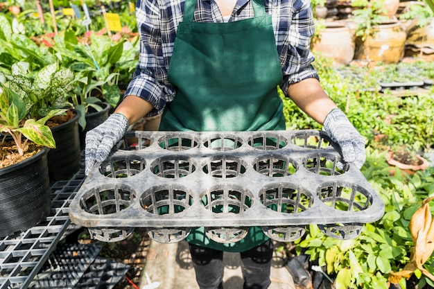 Jardinería