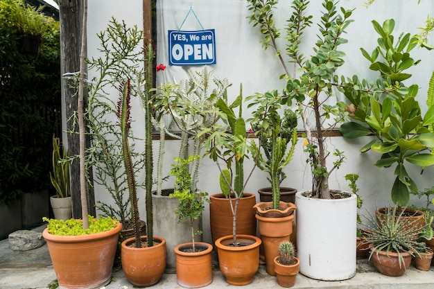 Jardinería