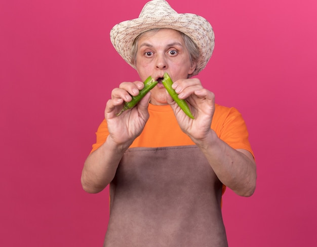 Jardinero anciano ansioso vistiendo sombrero de jardinería sosteniendo pimiento picante roto en rosa