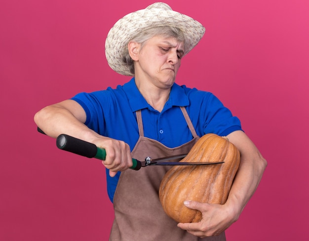 Jardinero anciano confiado con sombrero de jardinería sosteniendo tijeras de jardinería y calabaza aislado en la pared rosa con espacio de copia