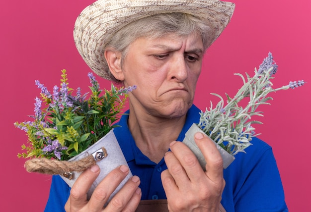 Jardinero anciano confundido con sombrero de jardinería sosteniendo y mirando macetas aisladas en la pared rosa con espacio de copia