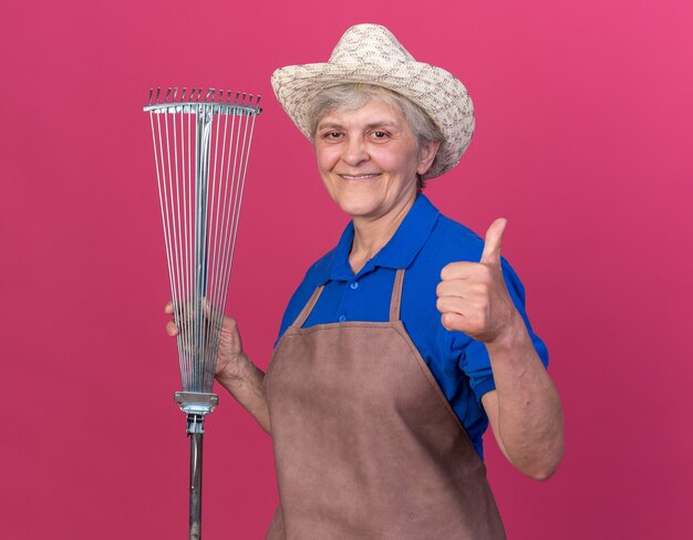 Jardinero anciano sonriente con sombrero de jardinería sostiene rastrillo de hojas y pulgares arriba en rosa