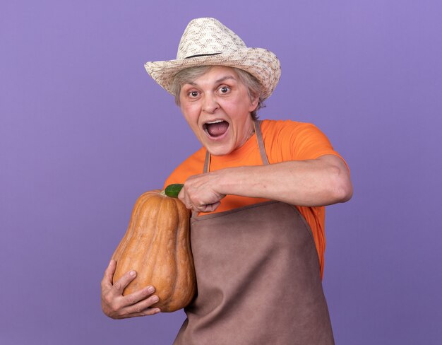 Jardinero anciano sorprendido con sombrero de jardinería con calabaza y pepino aislado en la pared púrpura con espacio de copia