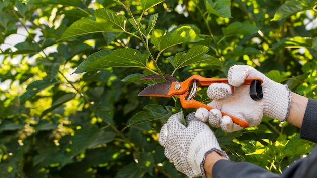 Jardinero de cerca cuidando las plantas