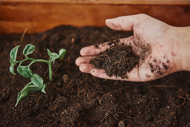 Jardinero cultivar hierbas en una sembradora