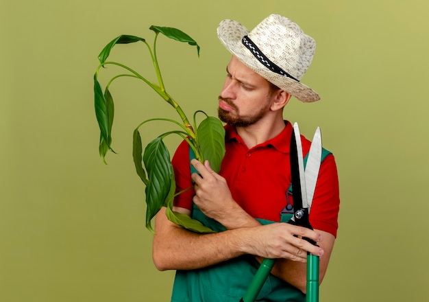 Foto gratuita jardinero eslavo hermoso joven confuso en uniforme y sombrero que sostiene la planta y las podadoras que miran la planta aislada en la pared verde oliva