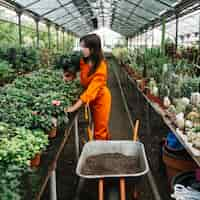 Foto gratuita jardinero hembra arreglando plantas en maceta en invernadero