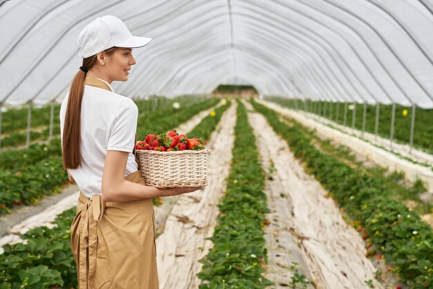 Jardinero hembra llevando cesta con fresas frescas